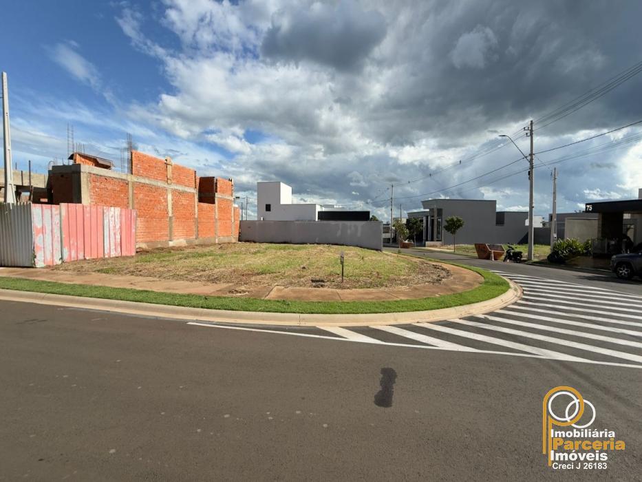 WhatsApp Image 2026-02-10 at 18.26.31.jpeg